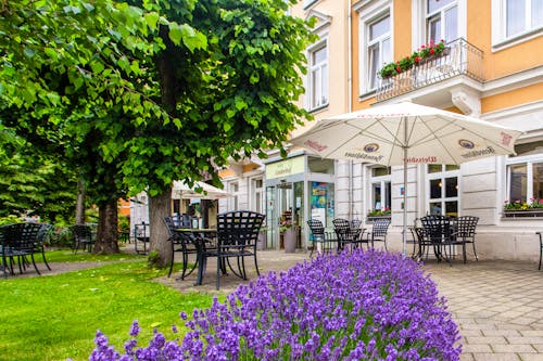Hotel Lindenhof &ndash; &copy; Hotel Lindenhof