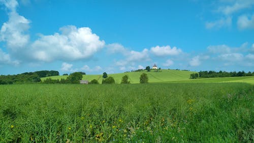 Der Schwartenberg bei Seiffen im mittleren Erzgebirge &ndash; &copy; Pixabay