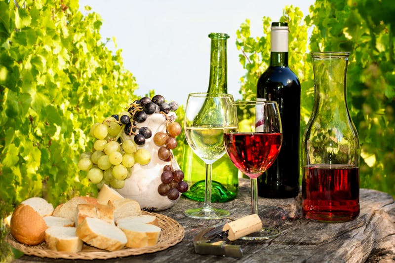 Weinverkostung im Weinberg - ©Visions-AD - stock.adobe.com