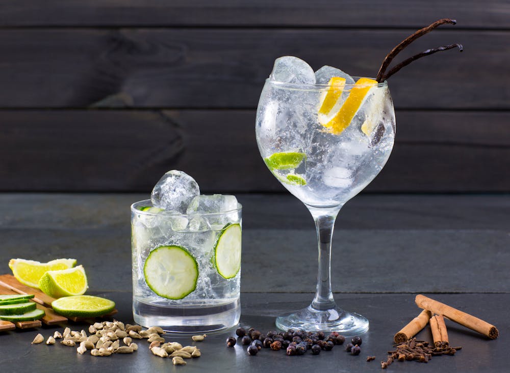 Gin tonic cocktail with lima cucumber vanilla cloves cardamom &ndash; &copy; ©lunamarina - stock.adobe.com