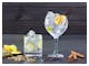 Gin tonic cocktail with lima cucumber vanilla cloves cardamom – © ©lunamarina - stock.adobe.com