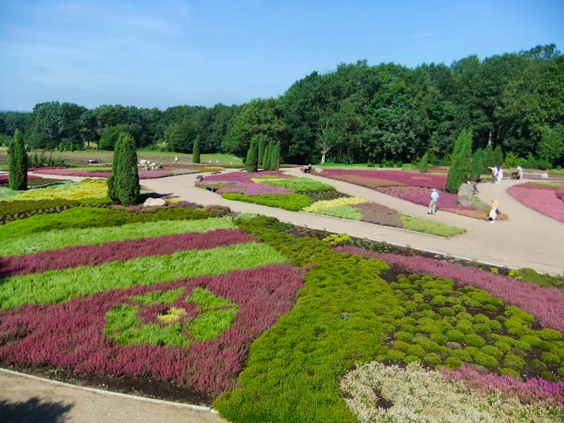 Heidegarten in Schneverdingen - ©Martina Pötschke