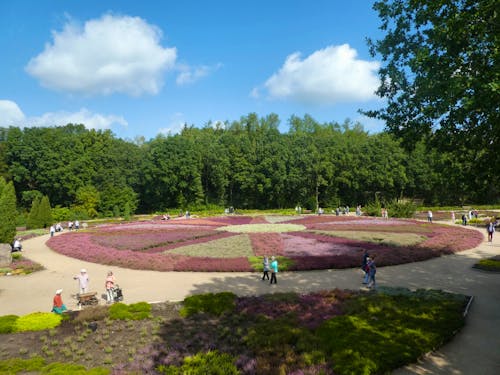 Heidegarten Schneverdingen &ndash; &copy; Kerstin Hugel
