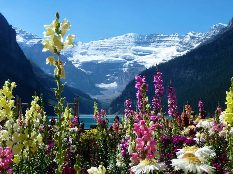 Lake Louise und Victoria Gletscher - ©Eberhardt TRAVEL - Elisabeth Fox-Maerki