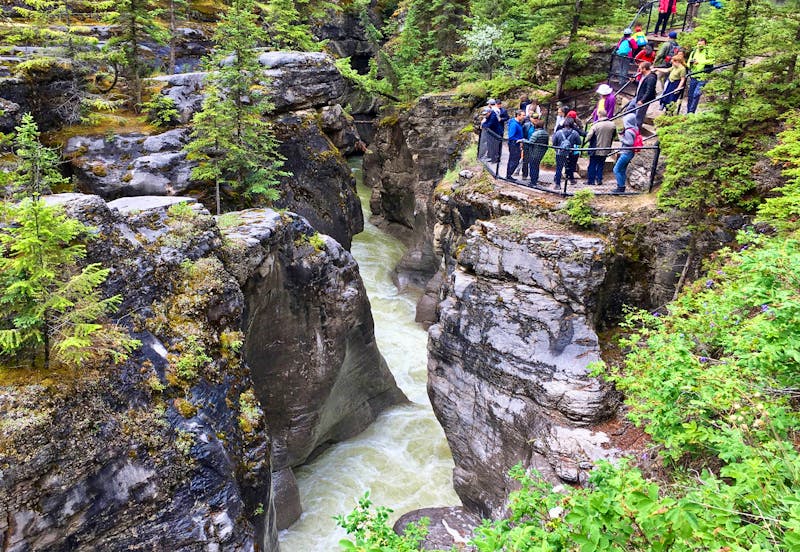 Spaziergang am Maligne Canyon im Jasper-Nationalpark - ©Eberhardt TRAVEL - Elisabeth Fox-Maerki