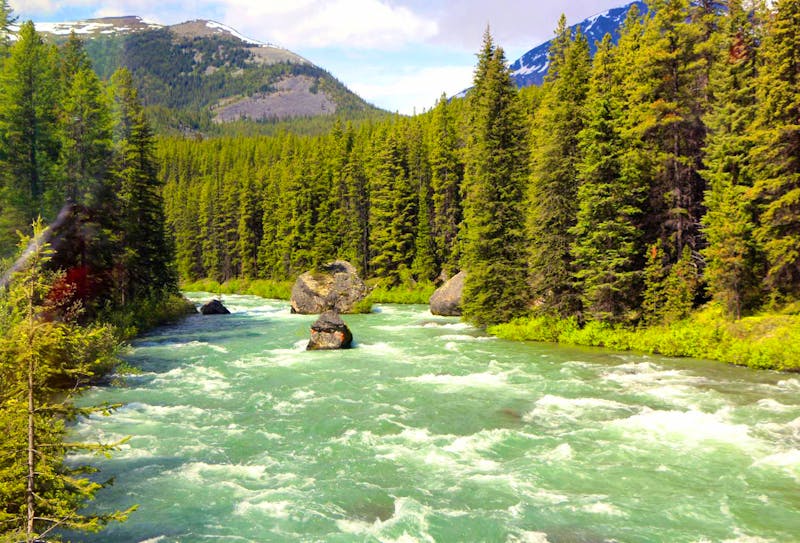 Maligne Fluss im Jasper-Nationalpark - ©Eberhardt TRAVEL - Kristin Weigel