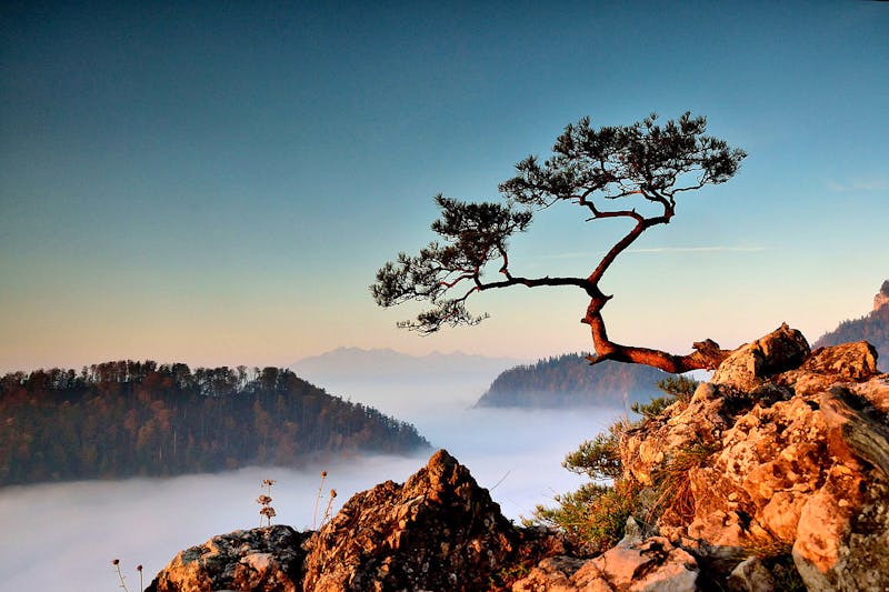 Aussichtspunkt im Pieniny-Nationalpark - ©TomagenO - Wikimedia