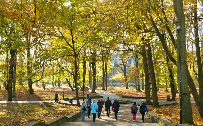 Park in Kolberg – © Eberhardt TRAVEL - Sabine Herda
