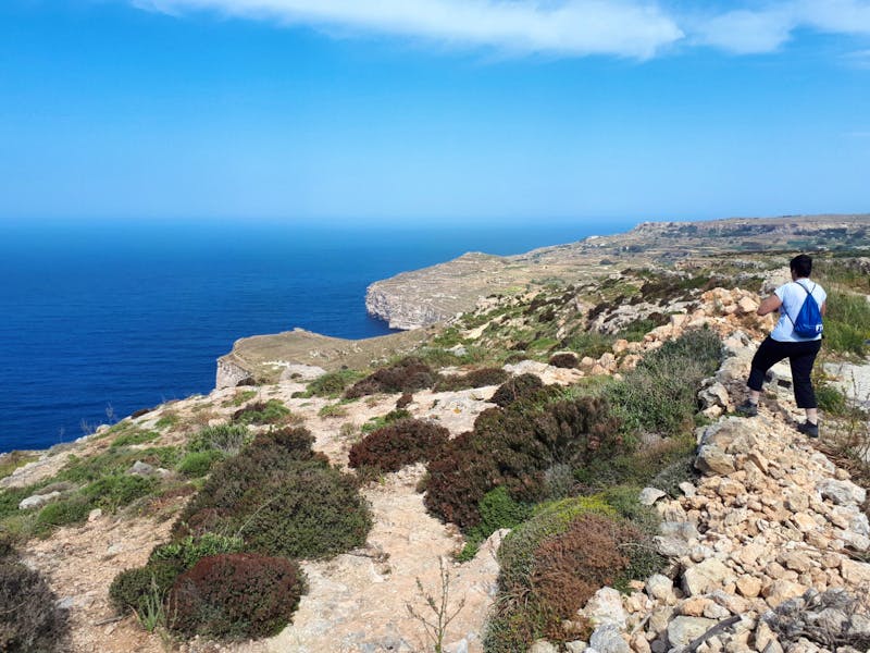 Malta - Klippen von Dingli - ©Franziska Bergmann
