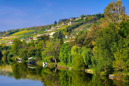 Saale Unstrut Weinberge &ndash; &copy; ©LianeM - stock.adobe.com