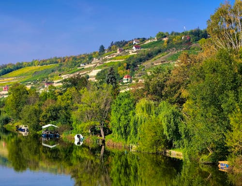 Saale Unstrut Weinberge – © ©LianeM - stock.adobe.com