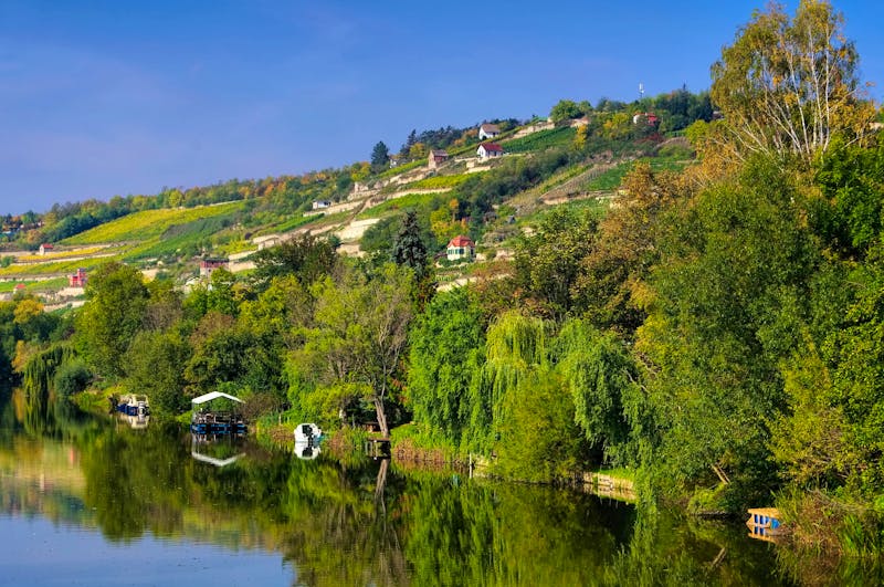 Saale Unstrut Weinberge - ©©LianeM - stock.adobe.com