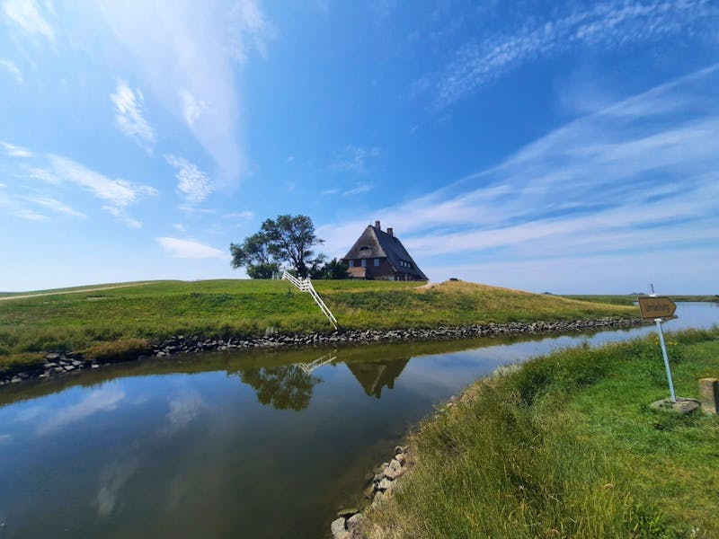 Hallig Hooge - ©Franziska Bergmann