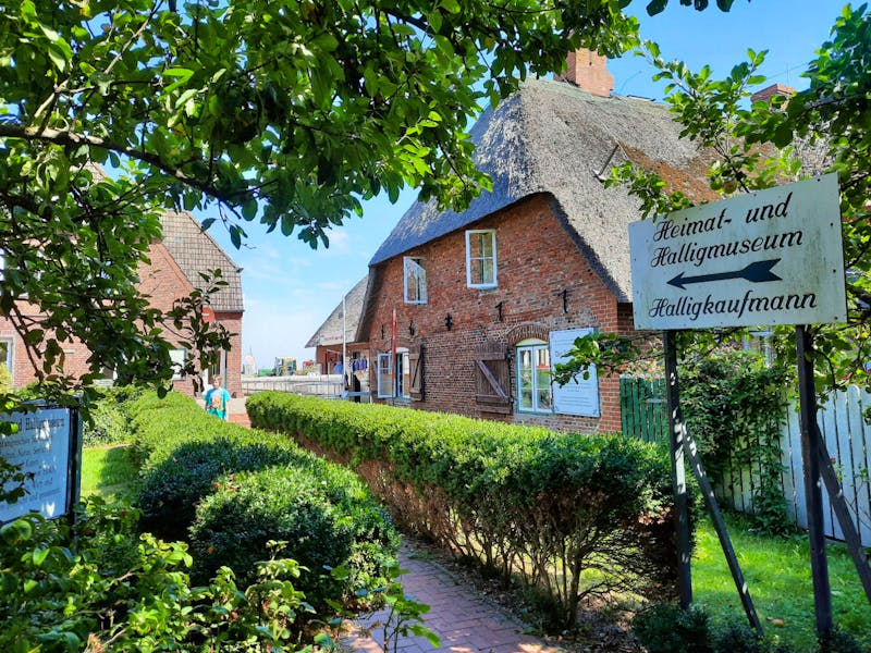 Hanswarft auf Hallig Hooge - ©Franziska Bergmann