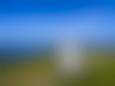 Hiddensee - Leuchtturm und Dornbusch - ©artefacti - Adobe Stockphoto