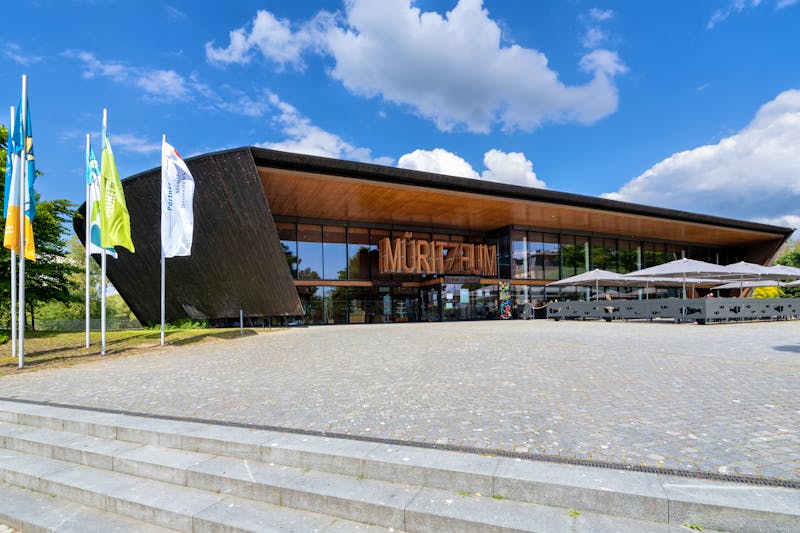 Waren an der Müritz - Müritzeum - ©Björn Wylezich - stock.adobe.com