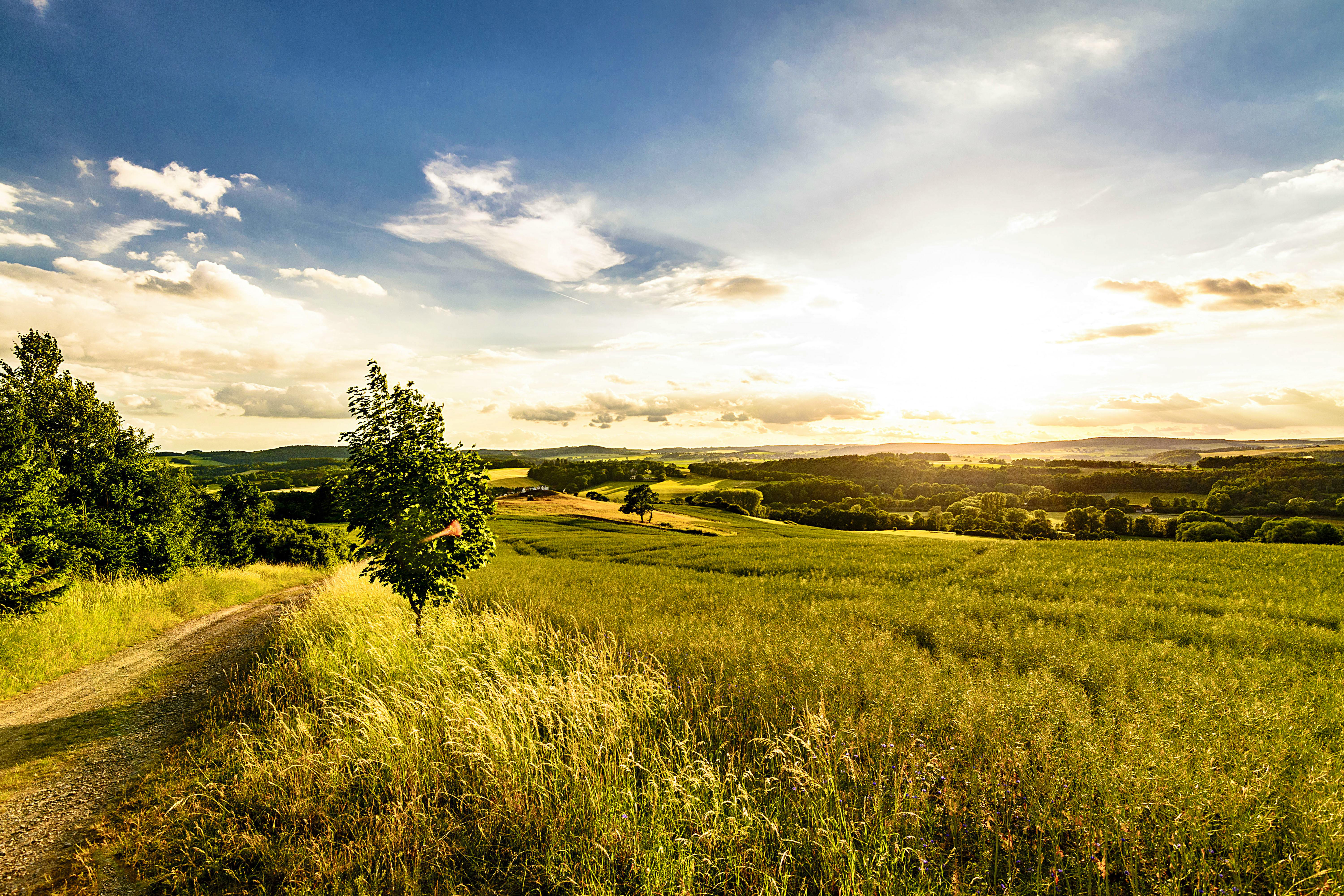 Kürbitz im Vogtland - Aussicht und Wanderweg&nbsp;&ndash;&nbsp;&copy;&nbsp;©Lars - stock.adobe.com