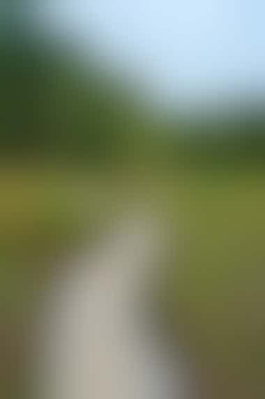 Wandern im Saarland - Steg über eine Feuchtwiese am Litermont - ©©mediadiv - stock.adobe.com