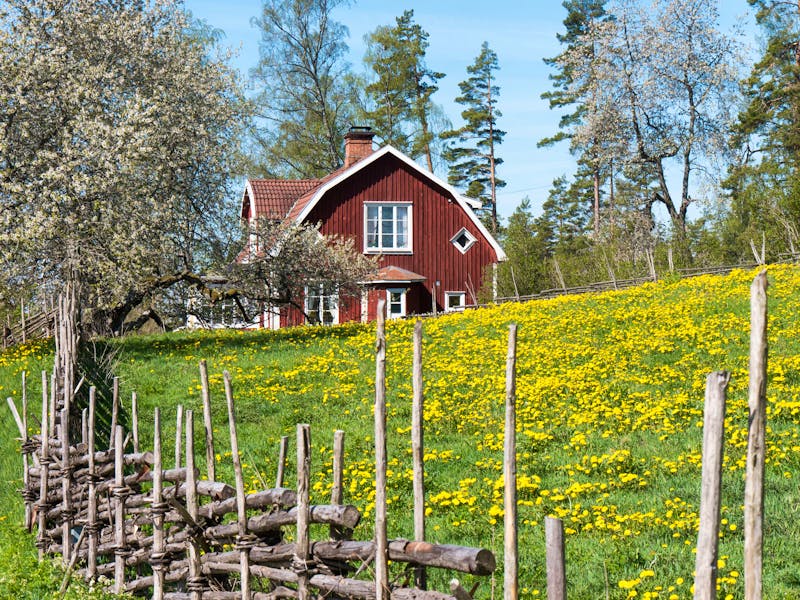 Katthult in Småland - ©Anna Stiebing - Eberhardt TRAVEL
