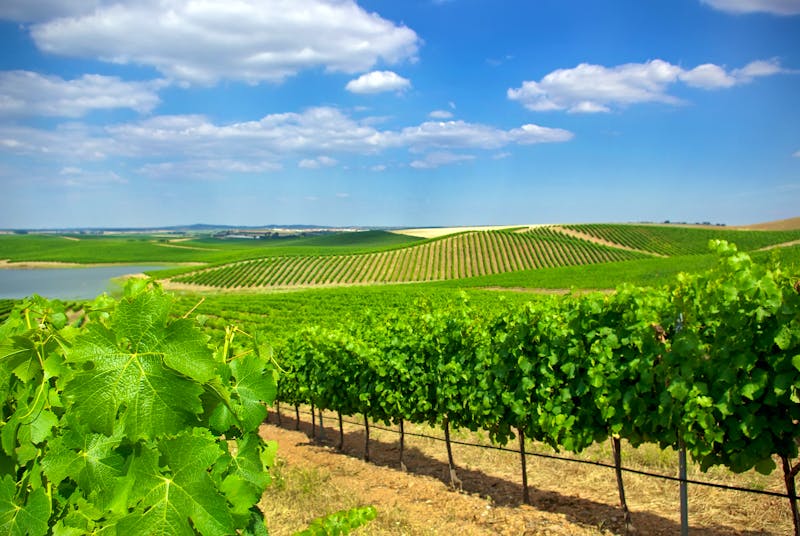 Alentejo - ©Travelone