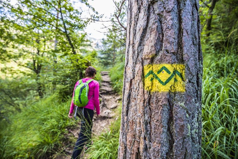 Bayrisch Gmain - Wanderweg Salzalpensteig - ©Kur GmbH Bad Reichenhall/Bayerisch Gmain