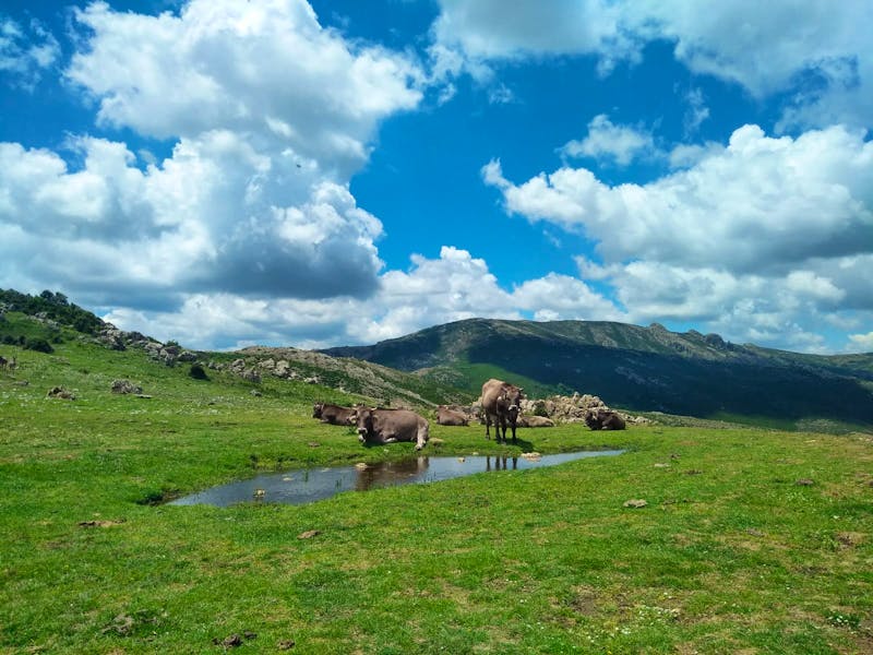 Natur bei Orgosolo - ©Jolanda Melis