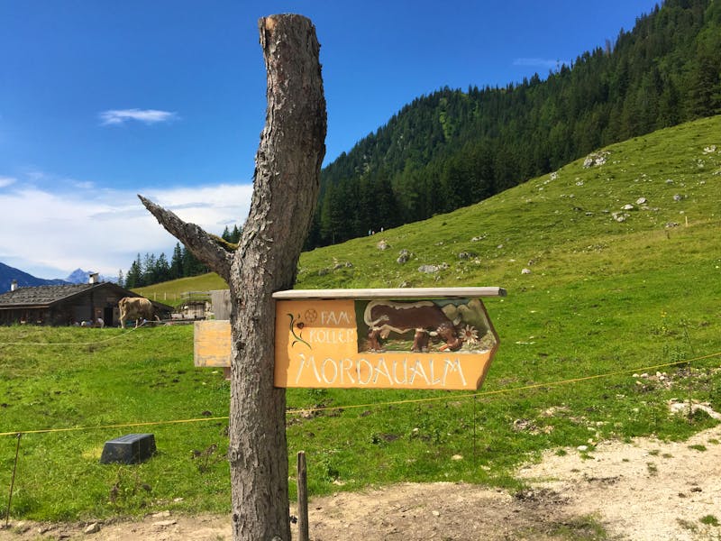 Zur Mordaualm - Chiemgau Wandern - ©Teamwörk