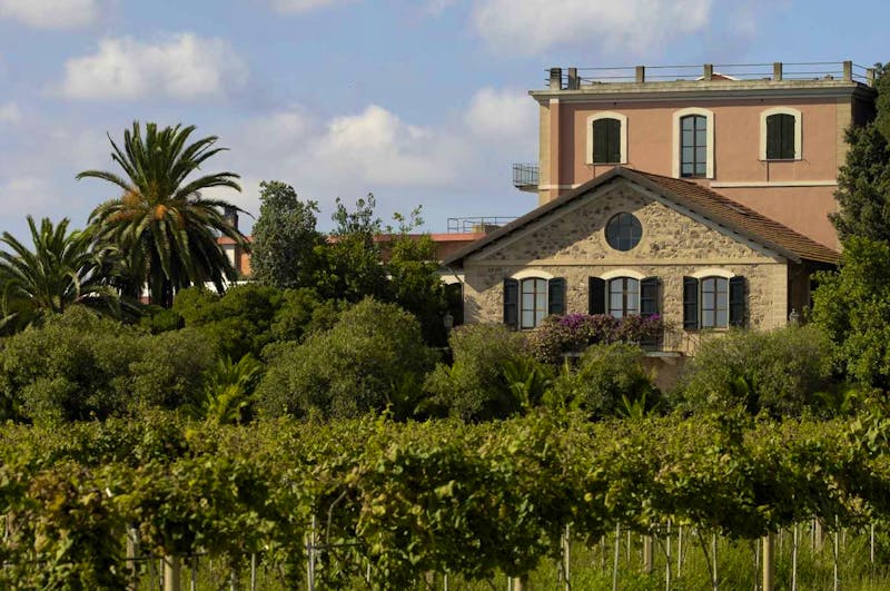 Weingut Sella & Mosca - ©Sella & Mosca
