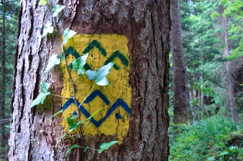 Salzalpensteig - Wandern am Chiemsee - ©Teamwörk