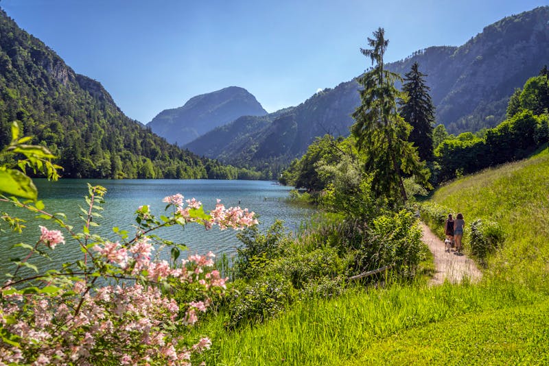 Thumsee - Chiemgau - ©Kur gmbH Bad reichenhall