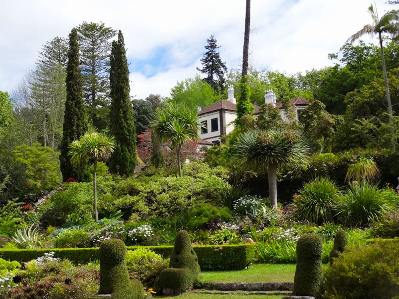 Anwesen der Familie Blandy - Quinta do Palheiro  - ©Hans-Joachim Trutz - Eberhardt TRAVEL