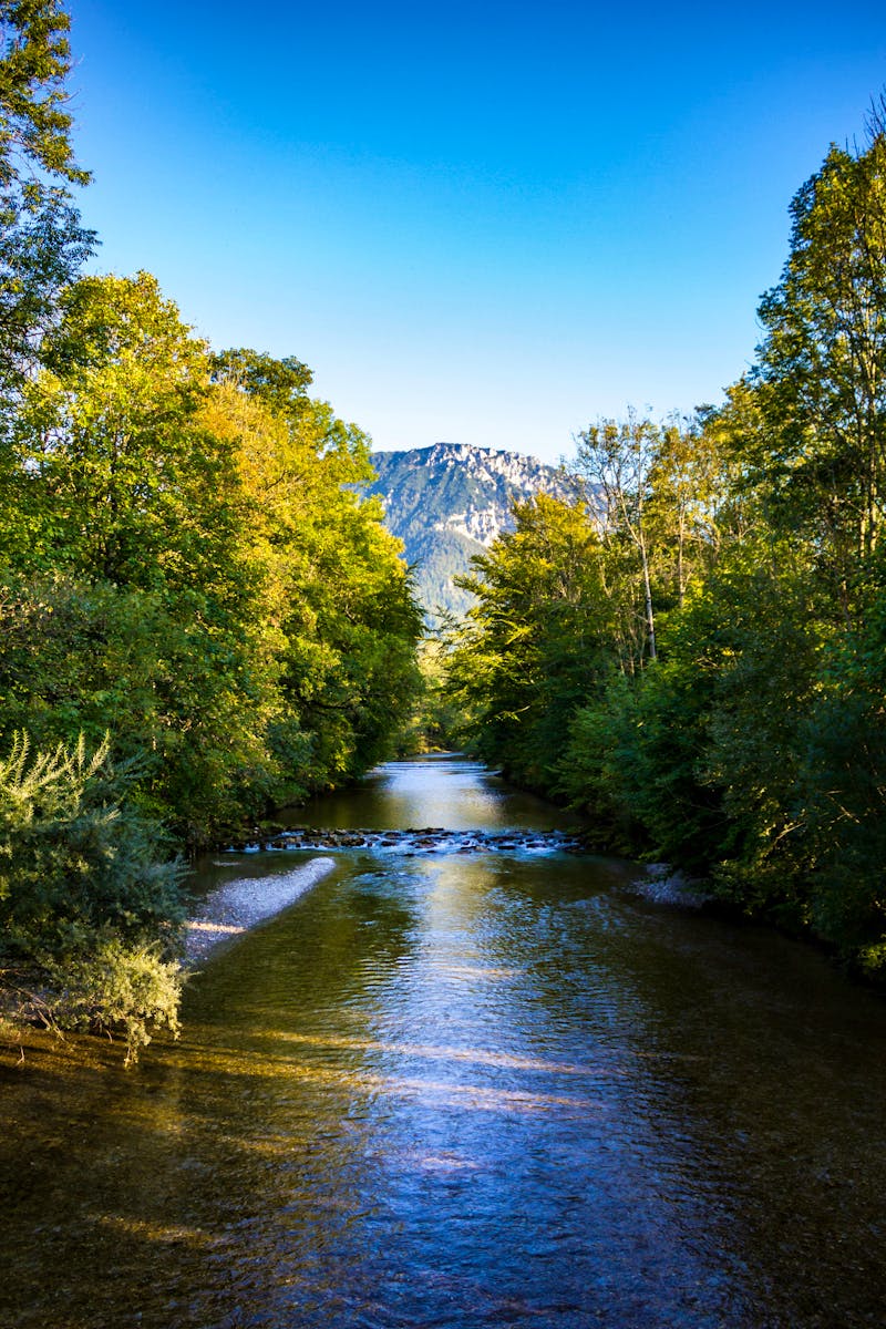 Weiße Traun in Ruhpolding vor dem Rauschberg - ©©JayAr - stock.adobe.com