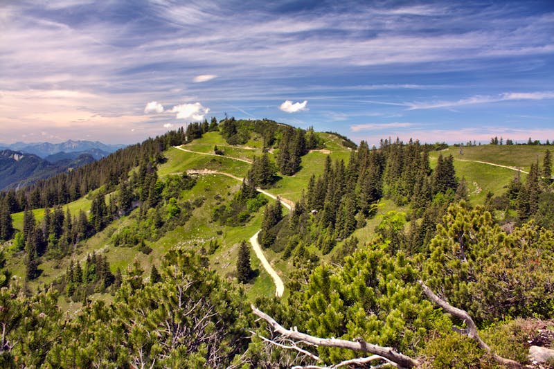 Rauschberg bei Ruhpolding - ©©tomsto - stock.adobe.com
