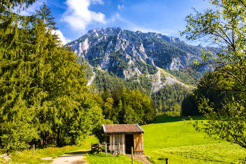 Rauschberg in Ruhpolding von Westen mit Hütte und Weg &ndash; &copy; ©JayAr - stock.adobe.com