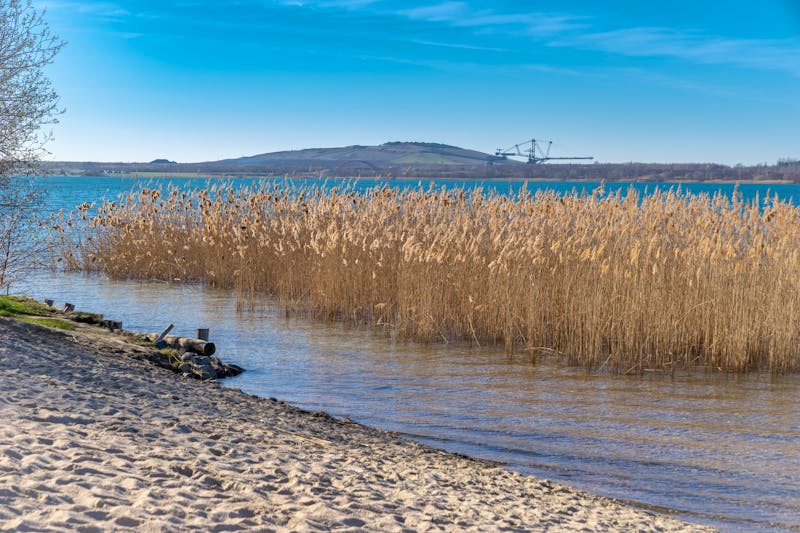 Markkleeberger See - ein ehemaliger Tagebau Sachsen - ©stylefoto24 - stock.adobe.com