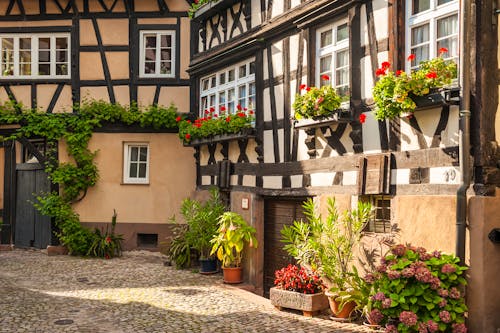 Fachwerkhäuser in Gengenbach - Schwarzwald &ndash; &copy; Jürgen Wackenhut - stock.adobe.com