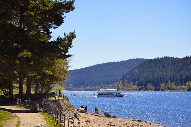 Schluchsee im Schwarzwald - ©traveldia - stock.adobe.com