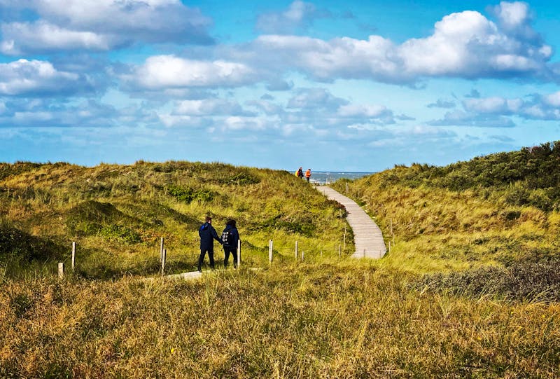 Dünen-Wanderung an der Nordsee - ©Carsten - stock.adobe.com