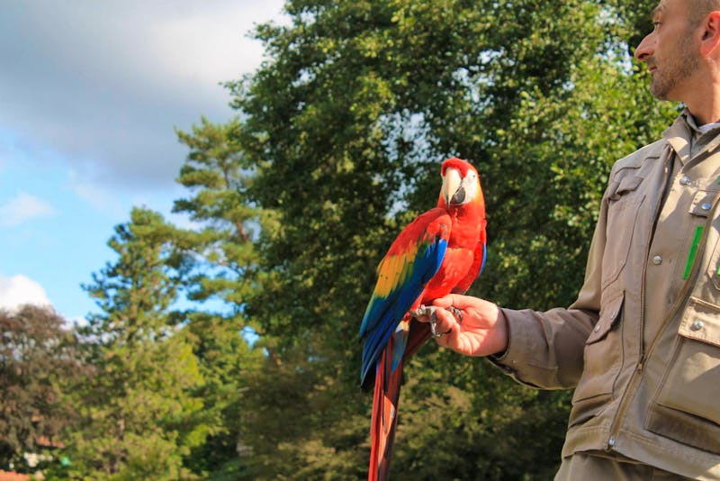 Vogelpark Walsrode - ©Eberhardt TRAVEL GmbH