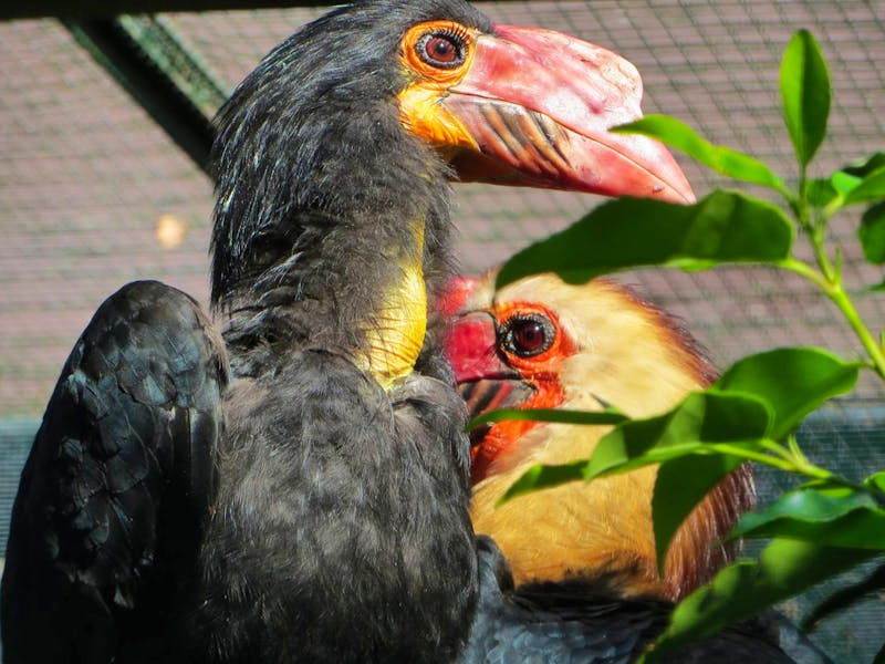 Im Vogelpark Walsrode - ©Eberhardt TRAVEL GmbH