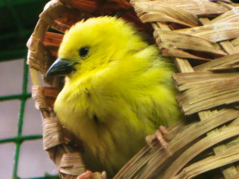 Im Vogelpark Walsrode - ©Eberhardt TRAVEL GmbH