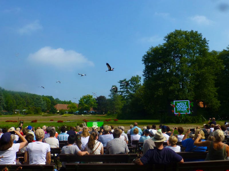 Vogelpark Walsrode - ©Kerstin Hugel