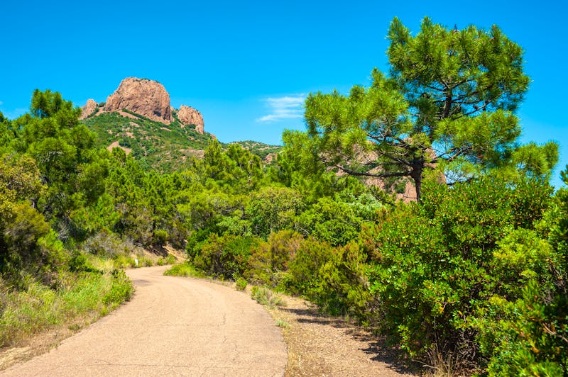 Wanderweg zum Pic du Cap Roux im Esterel-Gebirge - ©Jürgen Wackenhut - stock.adobe.com