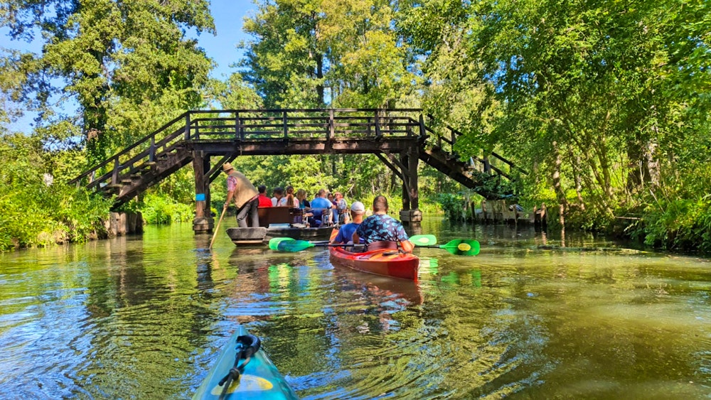 Kahnfahrt rund um Lübbenau im Spreewald – © Eberhardt TRAVEL - Kristin Weigel