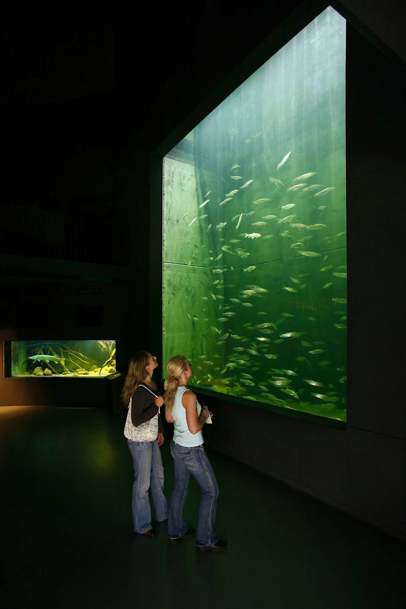 Waren an der Müritz - Müritzeum - &copy;Müritzeum gGmbH