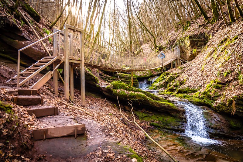 Wandern im Butzerbachtal - Hängebrücken, Wasserfälle  und Stege - ©©janmalburg - stock.adobe.com