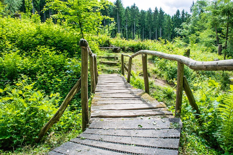 Wandern im Saarland - Wanderweg am Litermont - ©©pic3d - stock.adobe.com