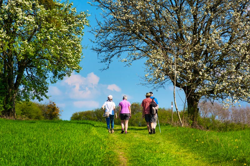 Gemeinsame Wanderung - ©Petair - stock.adobe.com
