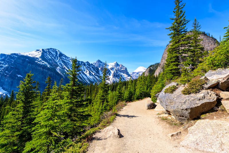 Wanderweg am Lake Louise - Lakeview Trail - ©Yaya Ernst - stock.adobe.com