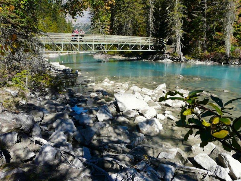 Wanderung zum Kinney Lake im Mount Robson Park - ©Eberhardt TRAVEL - Anne Sturm
